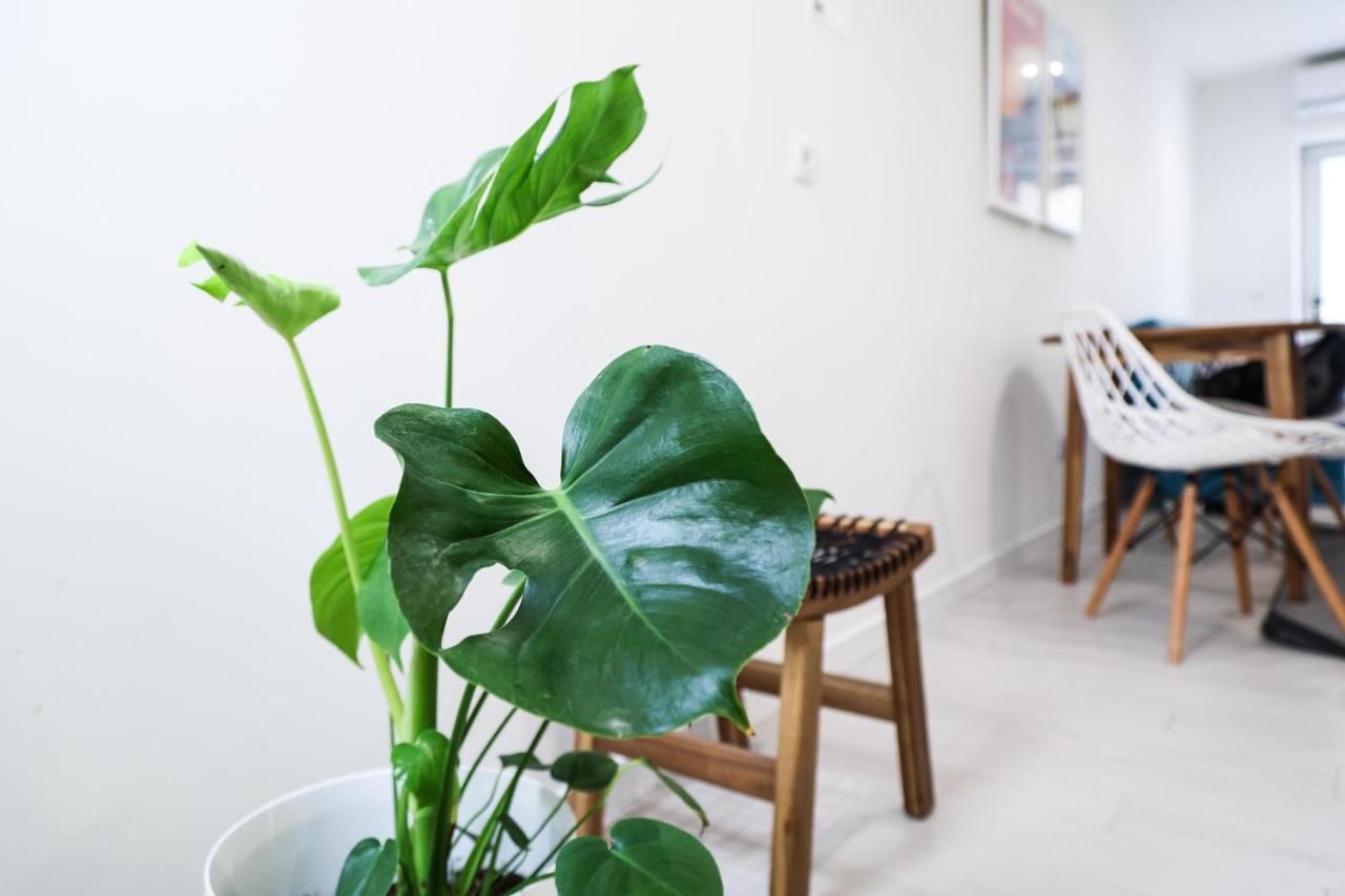Casa da Candida one place, many things Nazare Bagian luar foto
